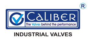 IPVS EXB_Web_logo_caliber